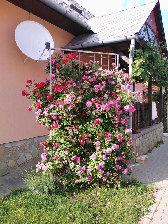 Valentin Vendeghaz Hotel Balatonlelle Ngoại thất bức ảnh