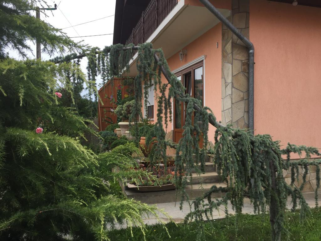 Valentin Vendeghaz Hotel Balatonlelle Ngoại thất bức ảnh