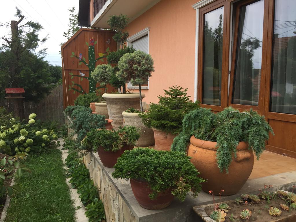 Valentin Vendeghaz Hotel Balatonlelle Ngoại thất bức ảnh